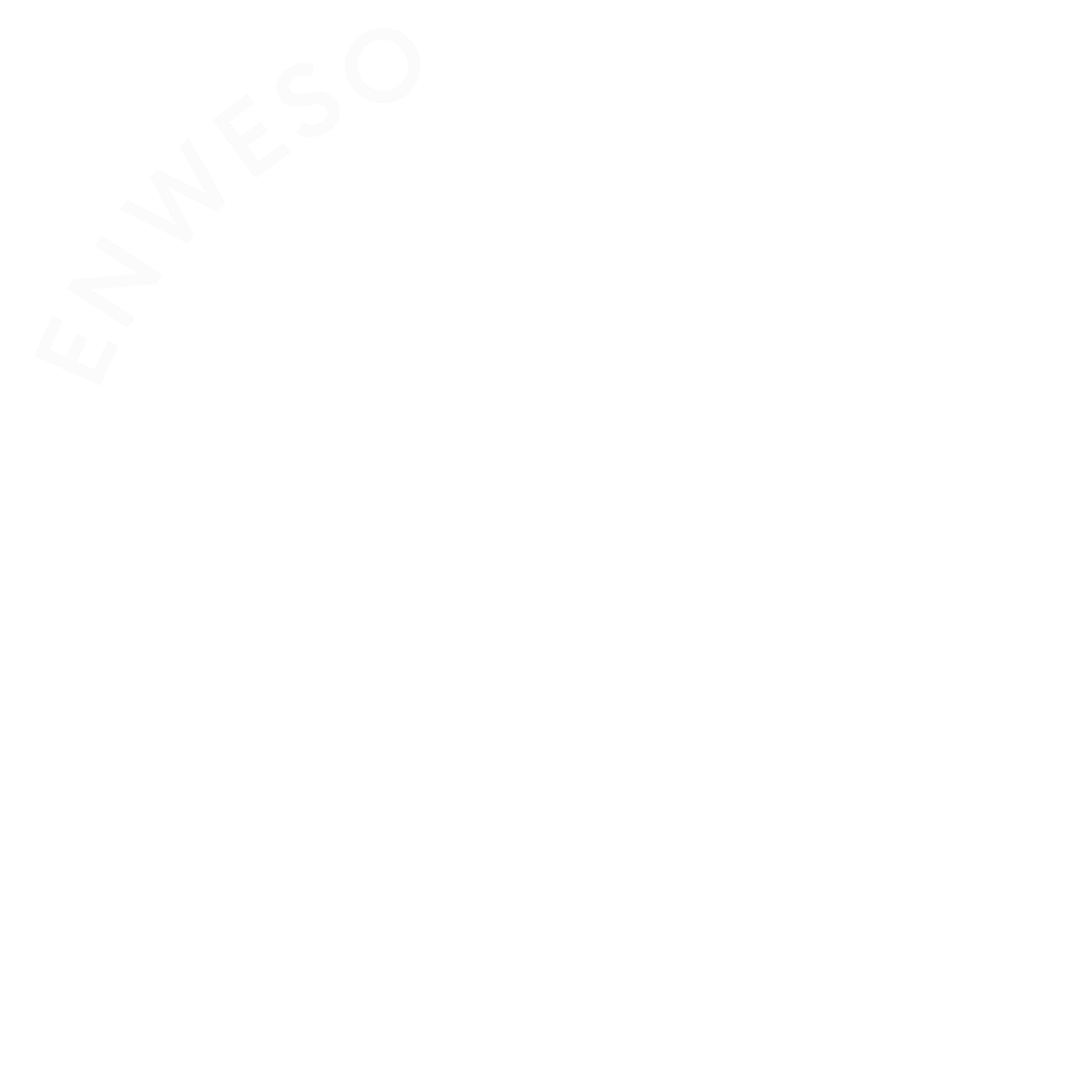 enweso webdesign freiburg